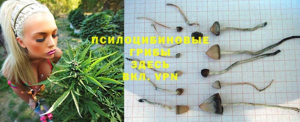 твердый Зерноград