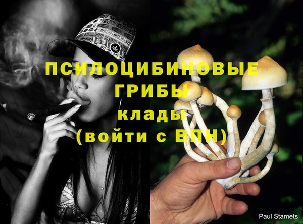 мескалин Зеленодольск