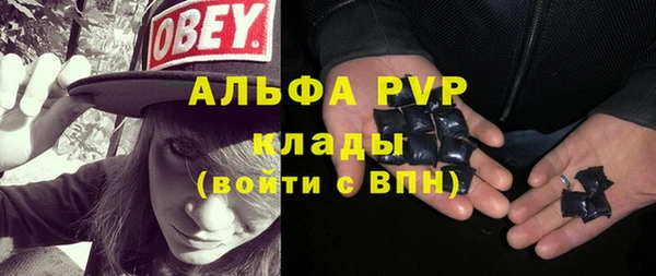 тгк Дмитриев