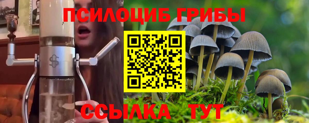 Галлюциногенные грибы Magic Shrooms Корсаков